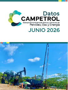Datos CAMPETROL - Reservas de petróleo y gas – IRR 2025 Edición N° 11 – Junio 23 de 2026