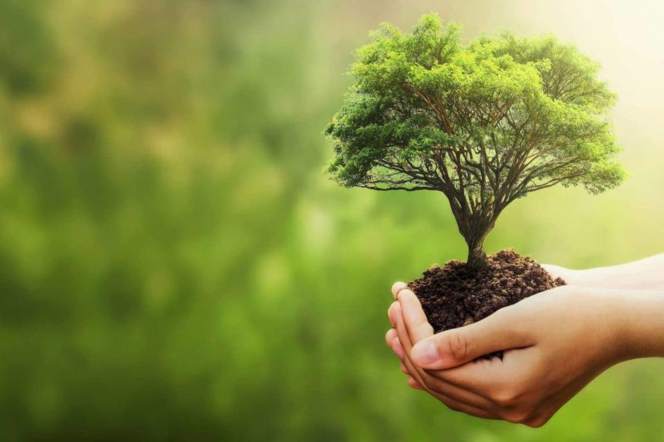 Premios Sostenibilidad - Gestión Ambiental