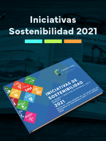Iniciativas 2021